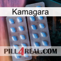 Kamagara viagra4